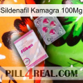 Sildenafil Kamagra 100Mg 32